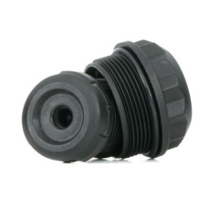 Differential Oil Filter - RIDEX 3502O0003