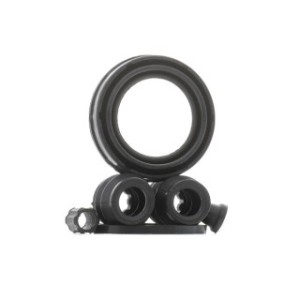 Brake Caliper Kit - RIDEX 405R0404