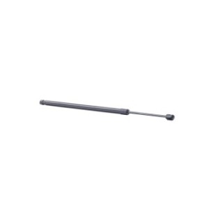 Tailgate Strut - RIDEX 219G0980
