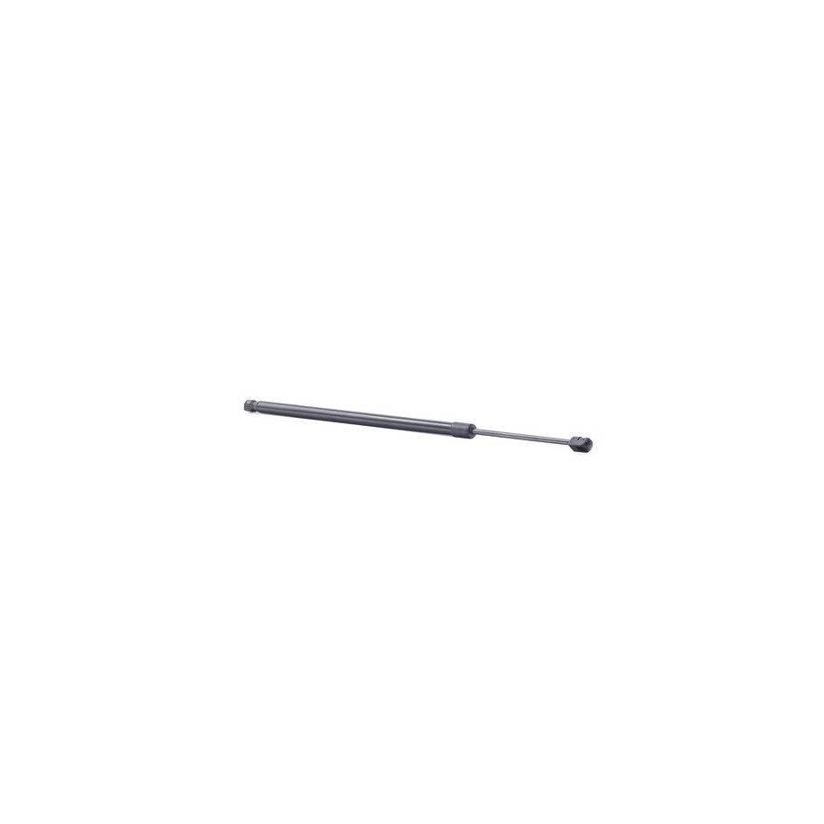 Tailgate Strut - RIDEX 219G0980