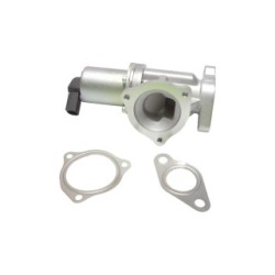 EGR Valve BOGAP Y6320101 for HYUNDAI OE 2841027400