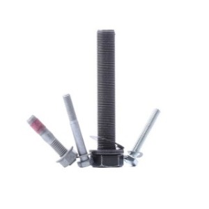 Bolt & Nut Kit - RIDEX 3264B0061