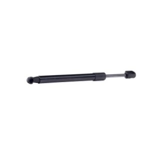 Tailgate Strut - RIDEX 219G0983