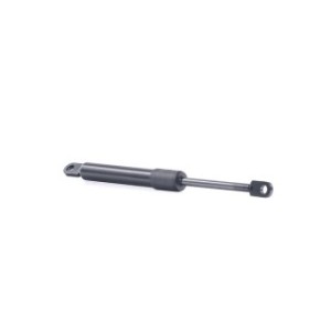 Tailgate Strut - RIDEX 219G0984