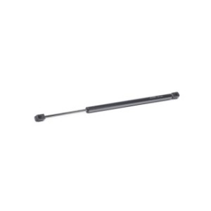 Tailgate Strut - RIDEX 219G0987