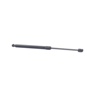 Tailgate Strut - RIDEX 219G0988