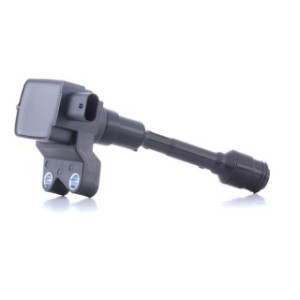 Ignition Coil - RIDEX 689C0403