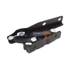 Bonnet Hinge CHITAO CT920322 OE 10062362