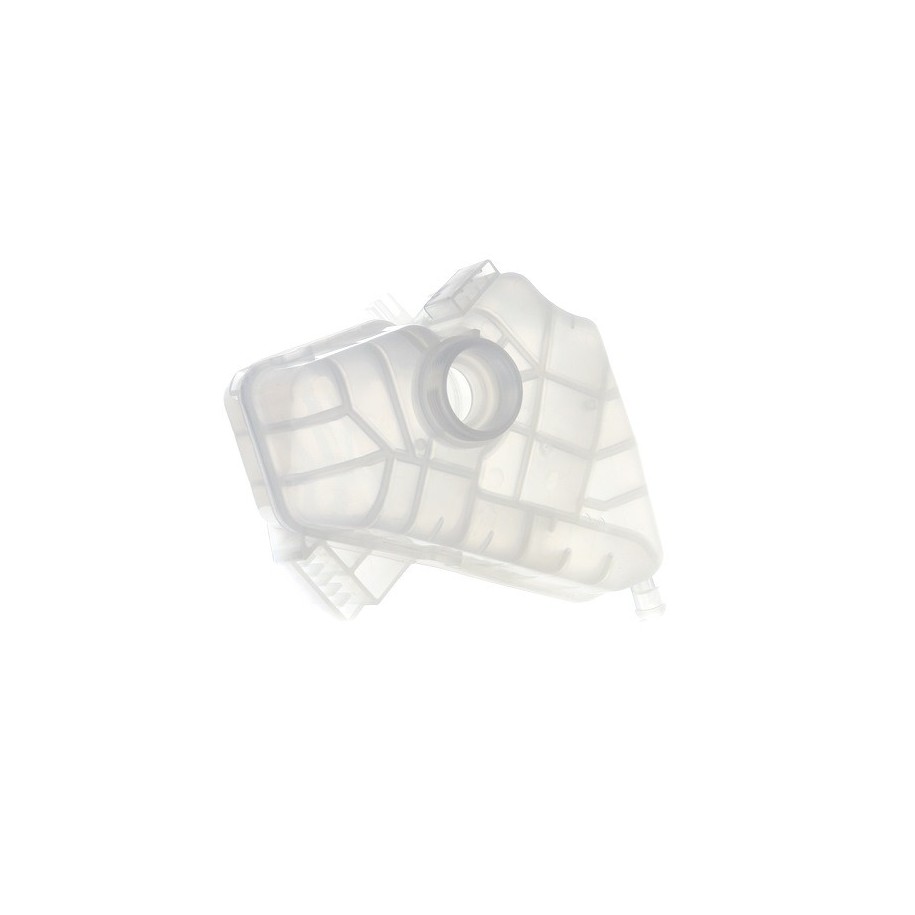 Coolant Expansion Tank - RIDEX 397E0193