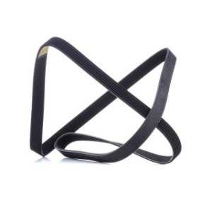 V Ribbed Belt - RIDEX 305P0508