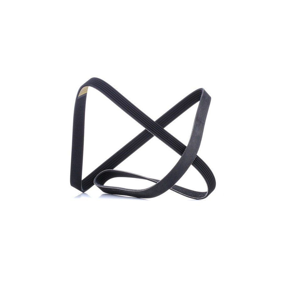 V Ribbed Belt - RIDEX 305P0508