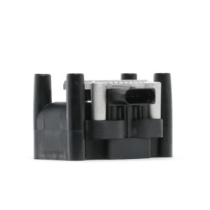 Ignition Coil - RIDEX 689C0406