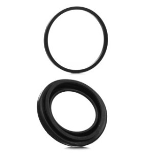 Brake Caliper Seal Kit - RIDEX 405R0487