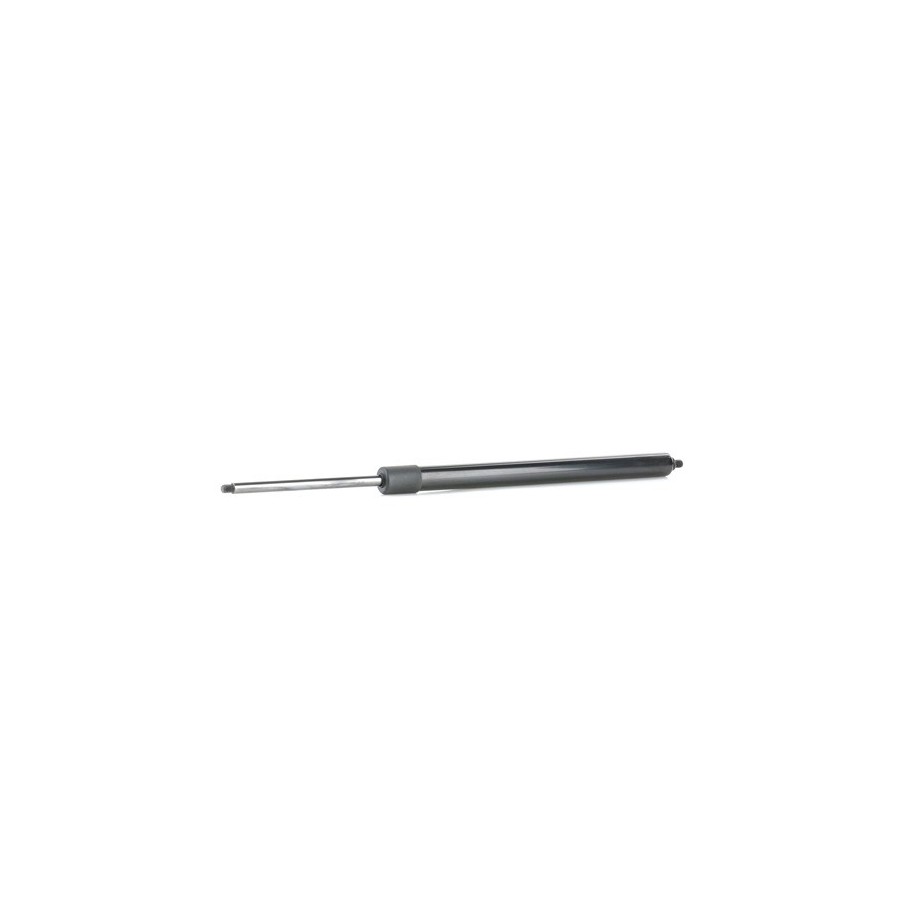 Tailgate Strut - RIDEX 219G0998