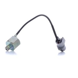 Knock Sensor - RIDEX 3921K0053
