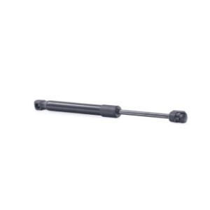 Tailgate Strut - RIDEX 219G1003
