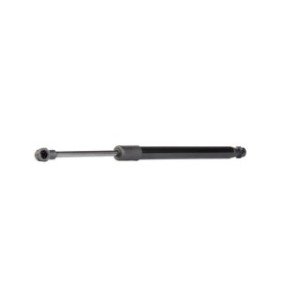 Tailgate Strut - RIDEX 219G1005