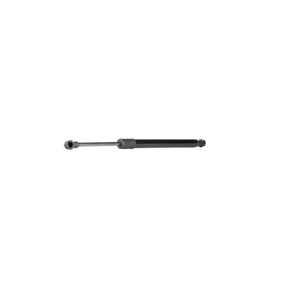 Tailgate Strut - RIDEX 219G1005