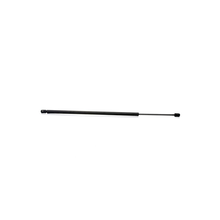 Tailgate Strut - RIDEX 219G1007