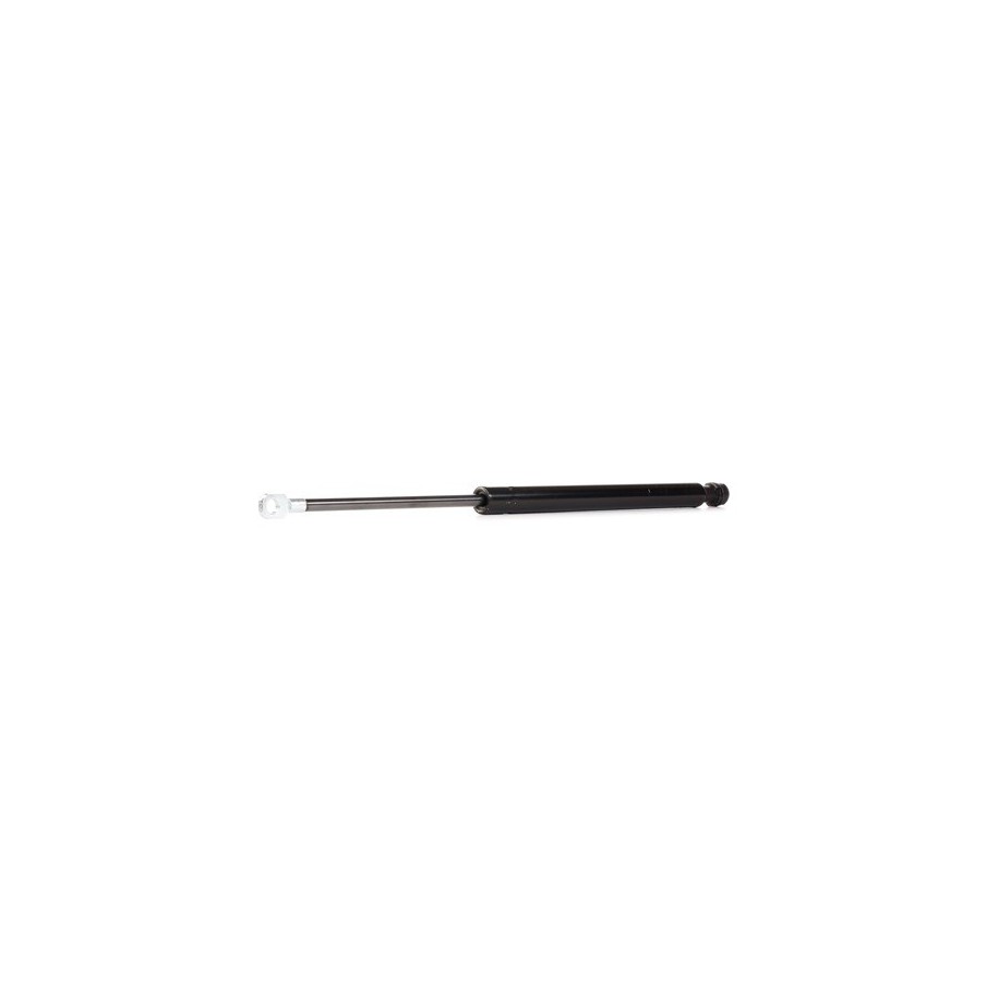 Tailgate Strut - RIDEX 219G1011