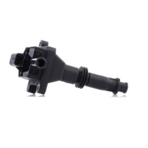 Ignition Coil - RIDEX 689C0416
