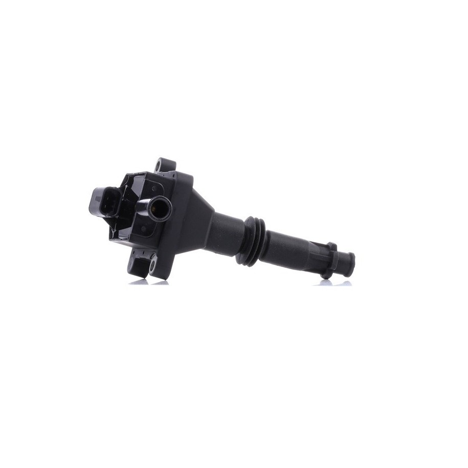 Ignition Coil - RIDEX 689C0416