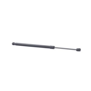 Tailgate Strut - RIDEX 219G1013