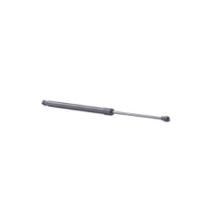 Tailgate Strut - RIDEX 219G1015