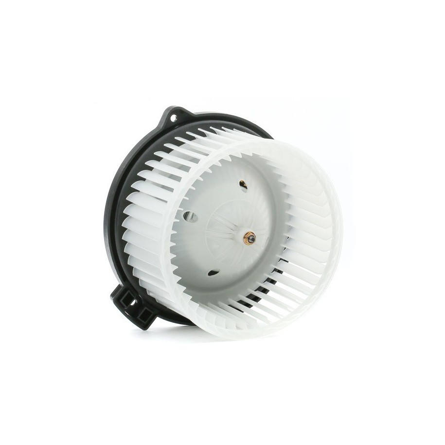 Heater Blower Motor - RIDEX 2669I0296