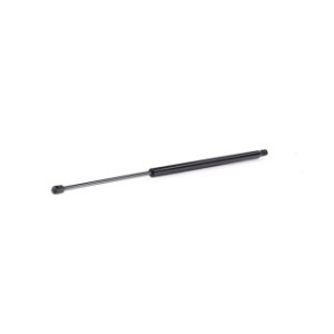 Tailgate Strut - RIDEX 219G1025