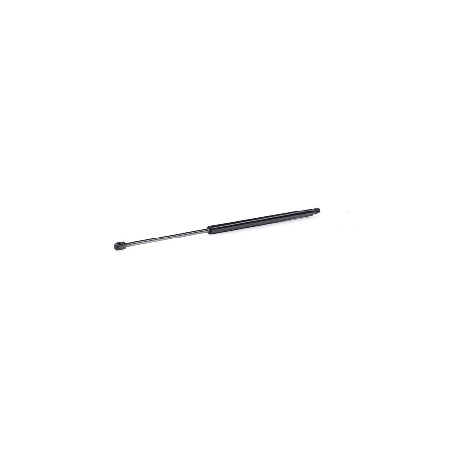 Tailgate Strut - RIDEX 219G1025
