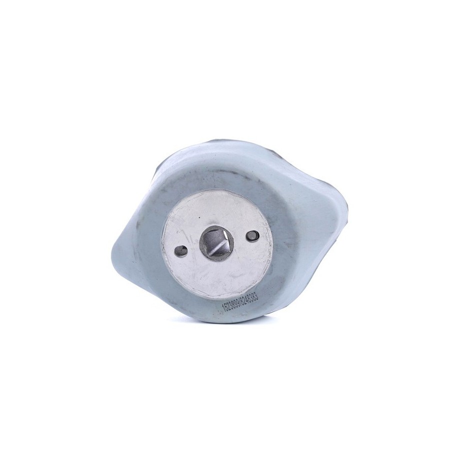 Mounting (AT) - RIDEX 249M0171