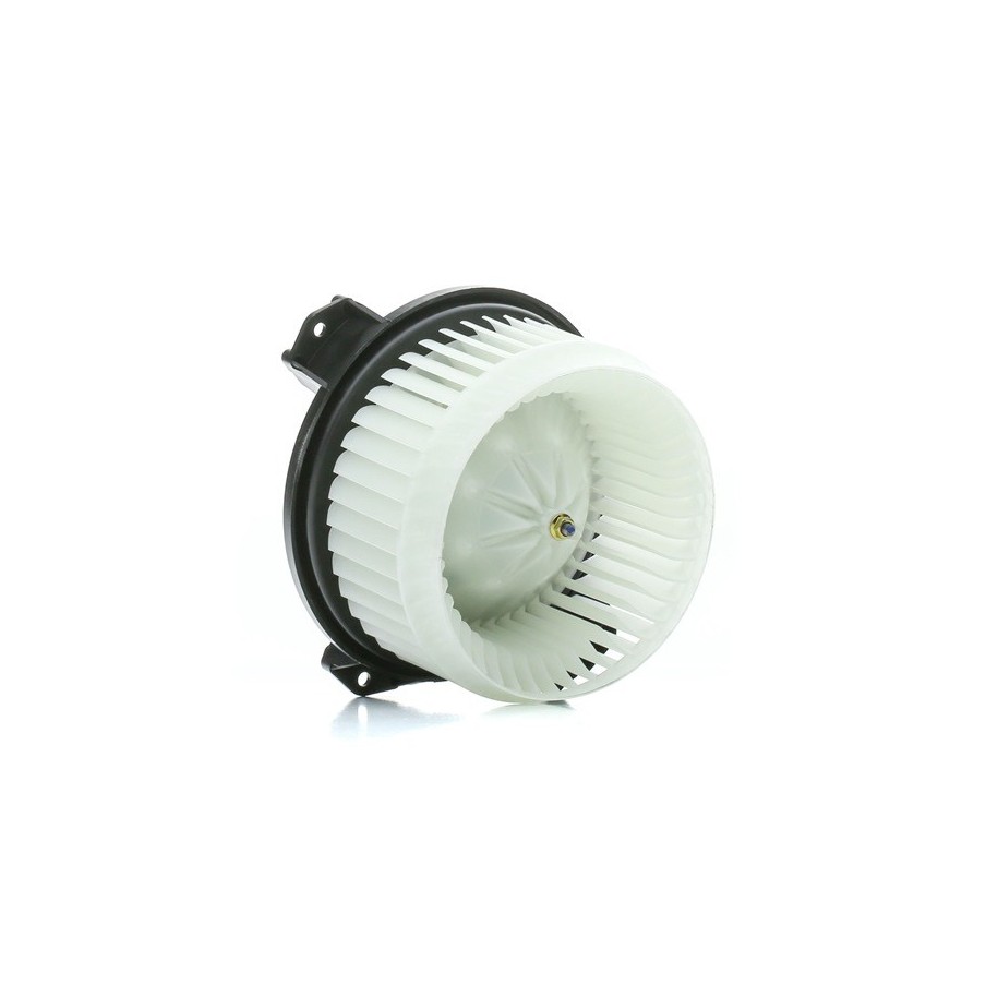 Heater Blower Motor - RIDEX 2669I0302