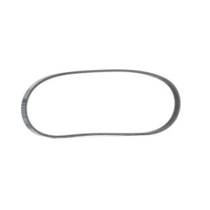 V Ribbed Belt - RIDEX 305P0553