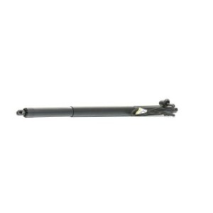 Tailgate Electric Motor - RIDEX 219G1032