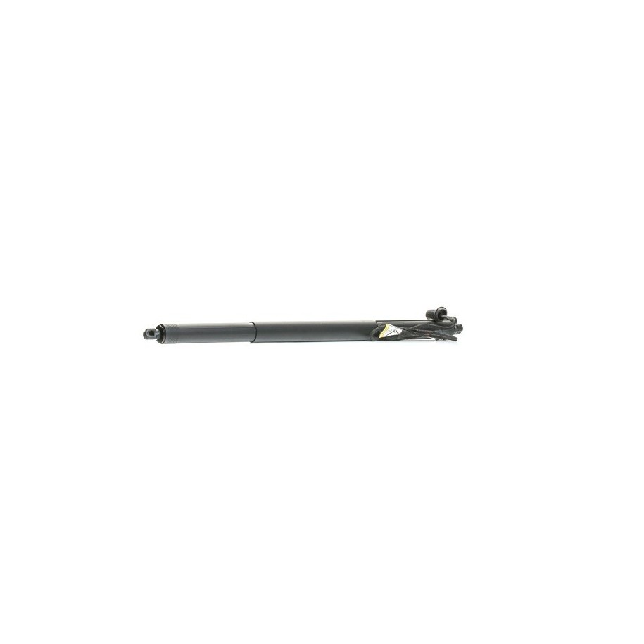Tailgate Electric Motor - RIDEX 219G1032
