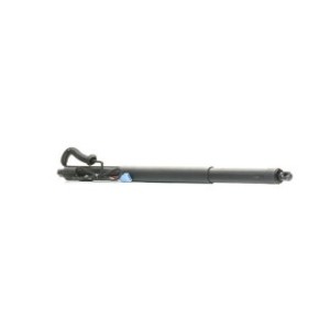 Tailgate Electric Motor - RIDEX 219G1033