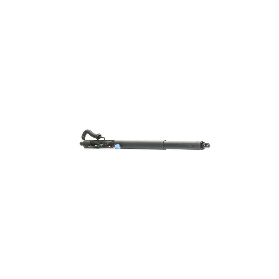 Tailgate Electric Motor - RIDEX 219G1033
