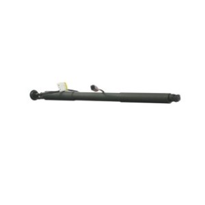 Tailgate Electric Motor - RIDEX 219G1035