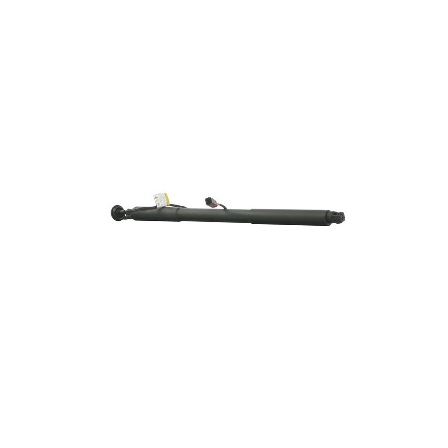 Tailgate Electric Motor - RIDEX 219G1035