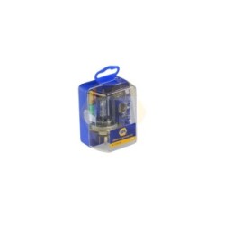 Bulbs Assortment NAPA NBKH4