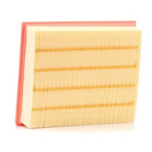 Air Filter - RIDEX 8A0002