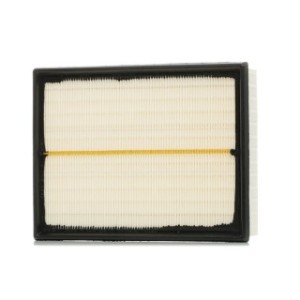 Air Filter - RIDEX 8A0007