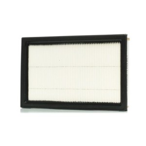 Air Filter - RIDEX 8A0006