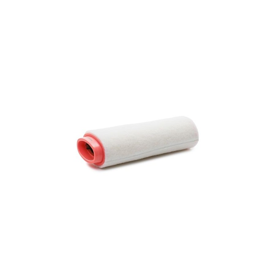 Air Filter - RIDEX 8A0010