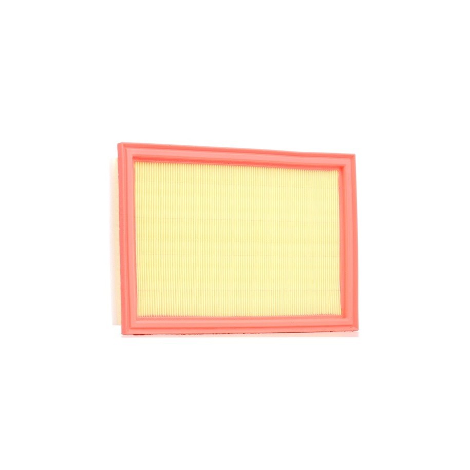Air Filter - RIDEX 8A0019