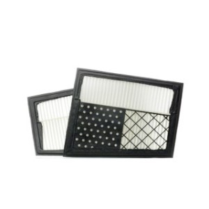 Air Filter - RIDEX 8A0098