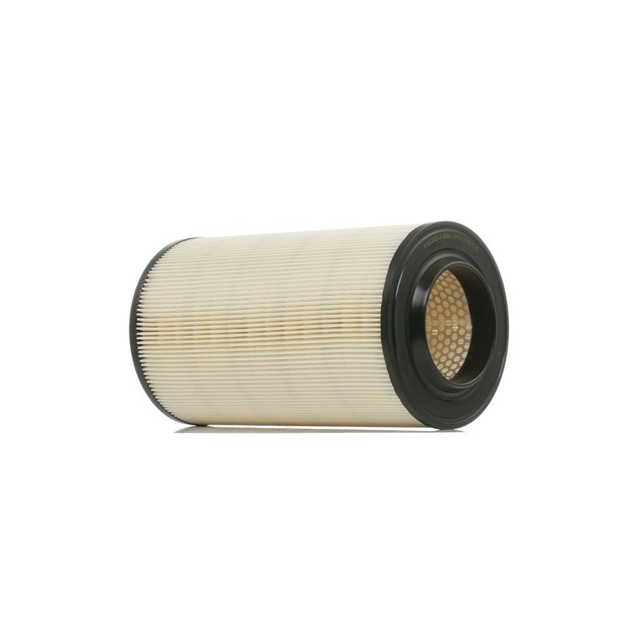 Air Filter - RIDEX 8A0099