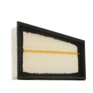 Air Filter - RIDEX 8A0080