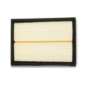 Air Filter - RIDEX 8A0022